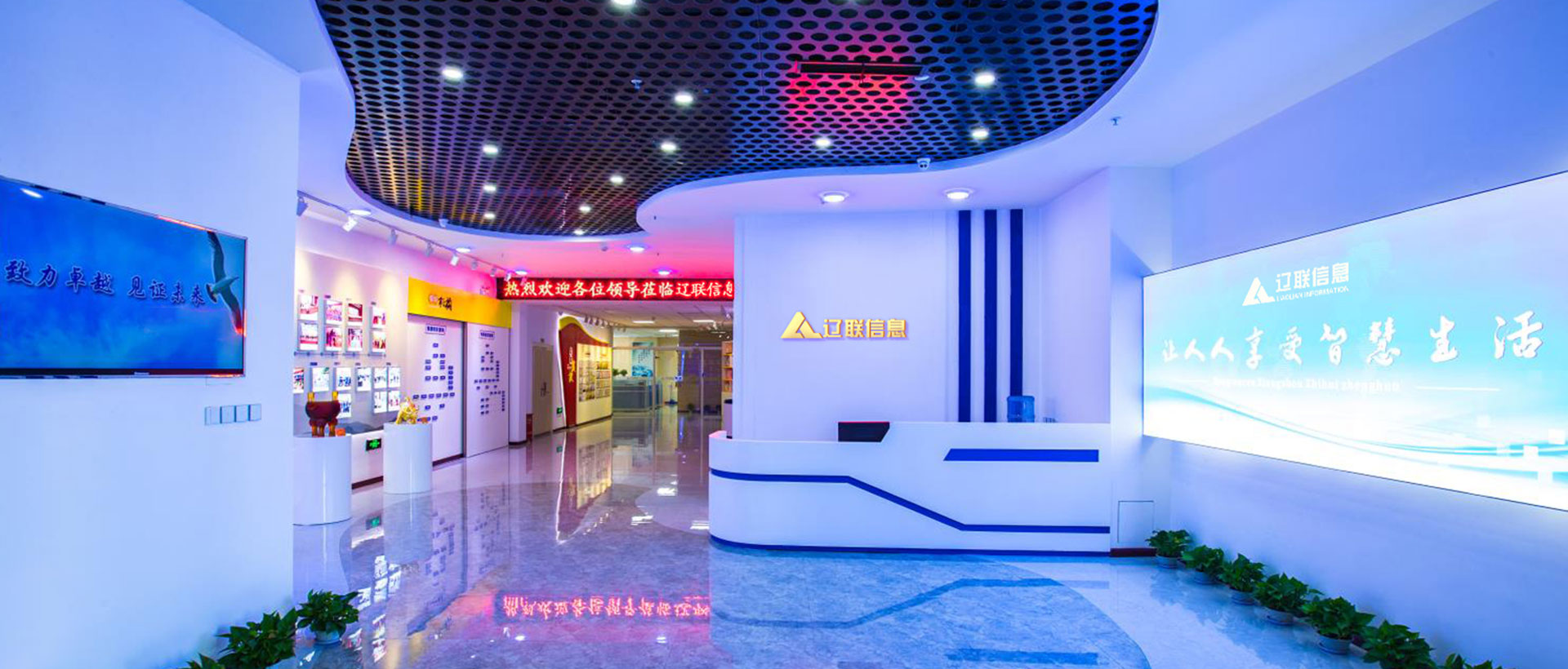 赢咖娱乐集团